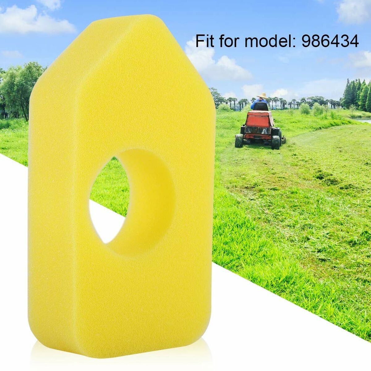 V1H11A6BF7AA3C7B0BF3D819013951D8736RP10