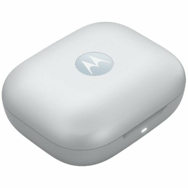 Earbuds Motorola Blueberry